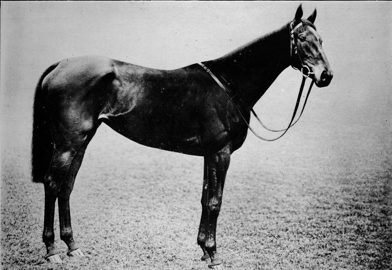 Scettro, 1899-1926, 1911 da Unbekannt