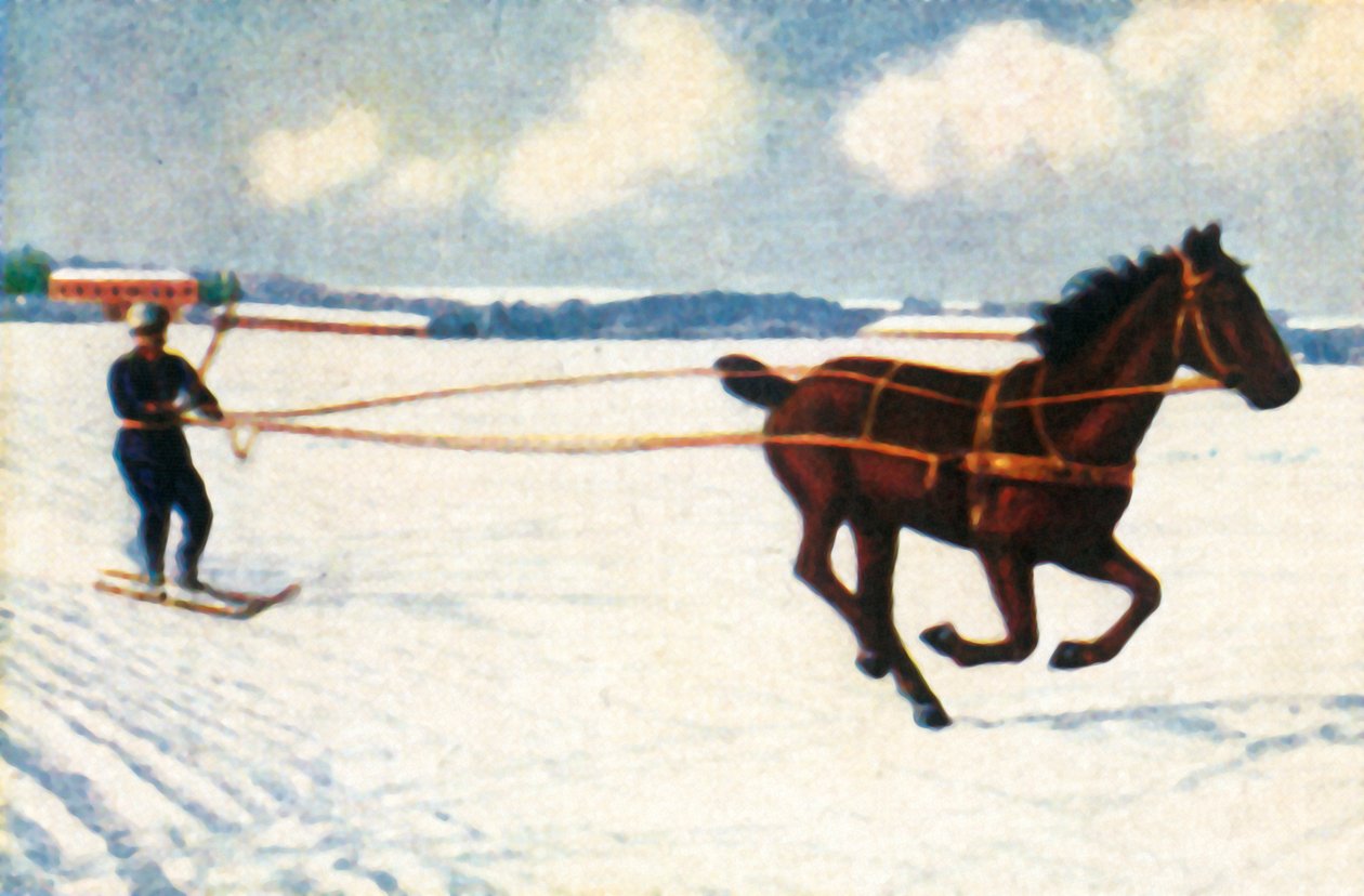 Skijöring in Svezia da Unbekannt