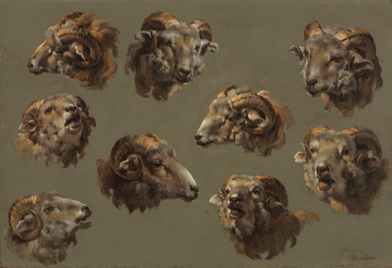 Studi di teste di ariete, 1700s da Unbekannt