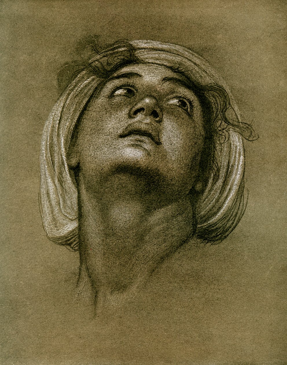 Studio di una testa, 1901 da Unbekannt