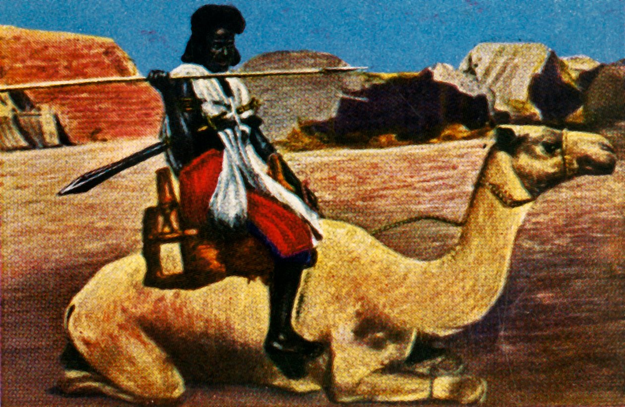 Guerriero sudanese a cavallo di un cammello, c1928 da Unbekannt