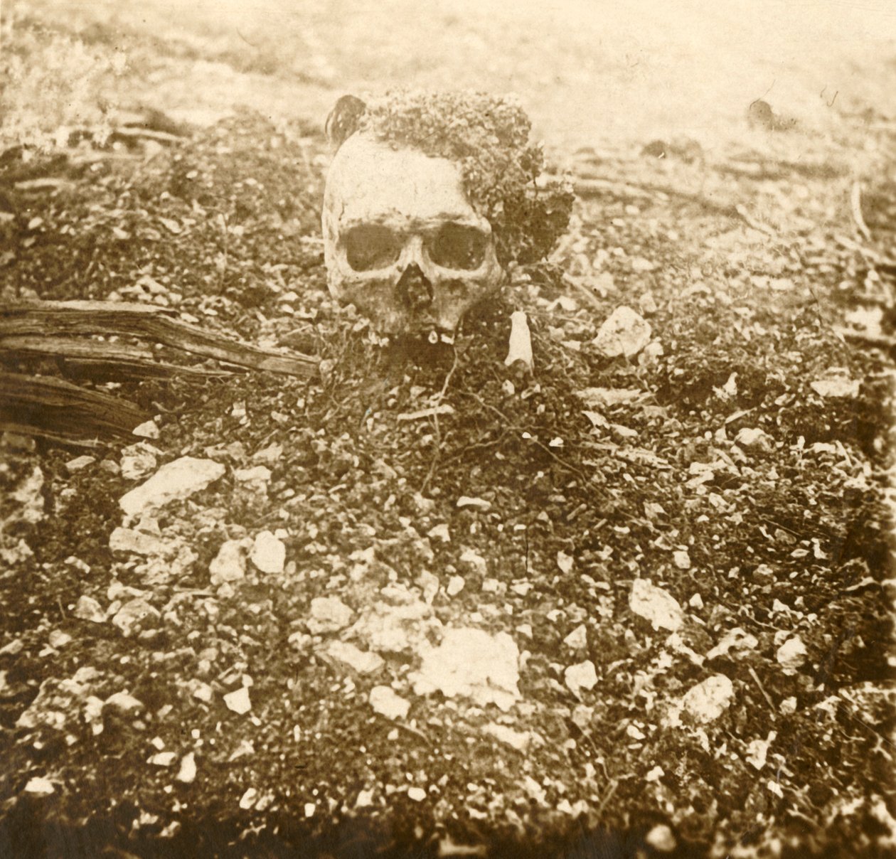 Il Principe della Corona, Verdun, Francia settentrionale, 1916 da Unbekannt