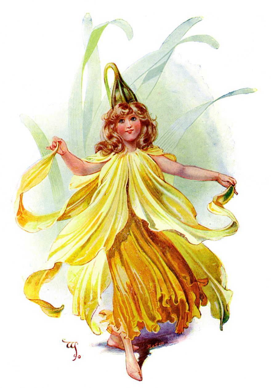 Il narciso, 1899 da Unbekannt
