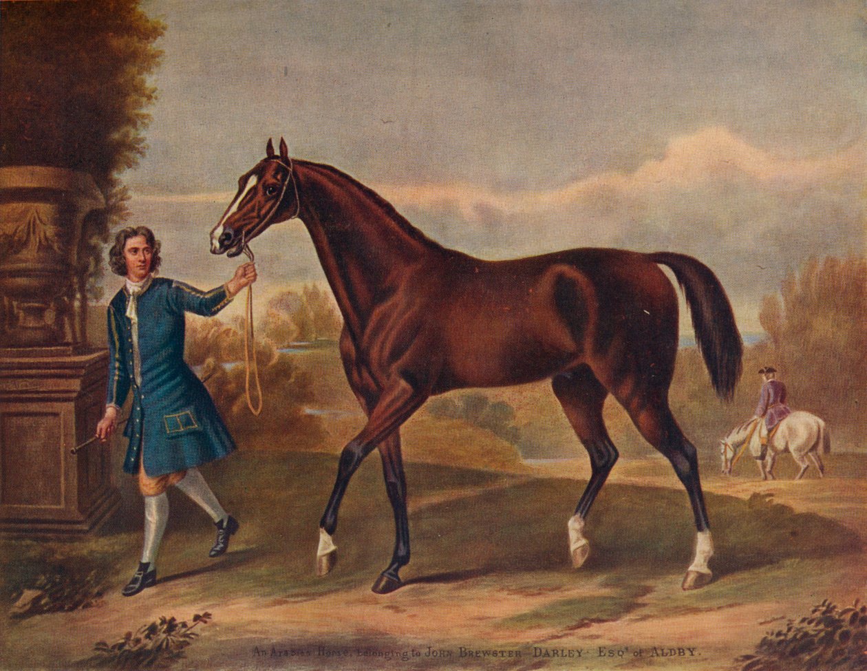 Il Darley Arabian, c1720, 1922 da Unbekannt