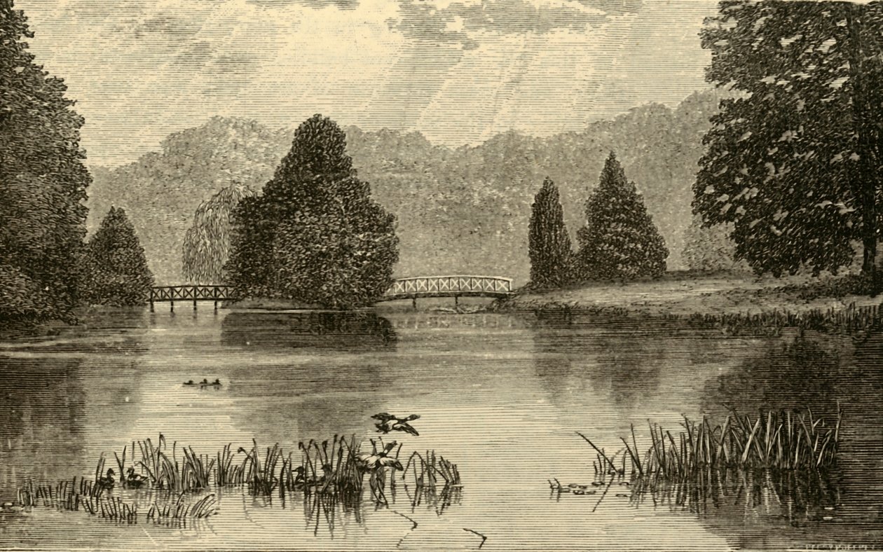 Il lago, Blenheim, 1898 da Unbekannt