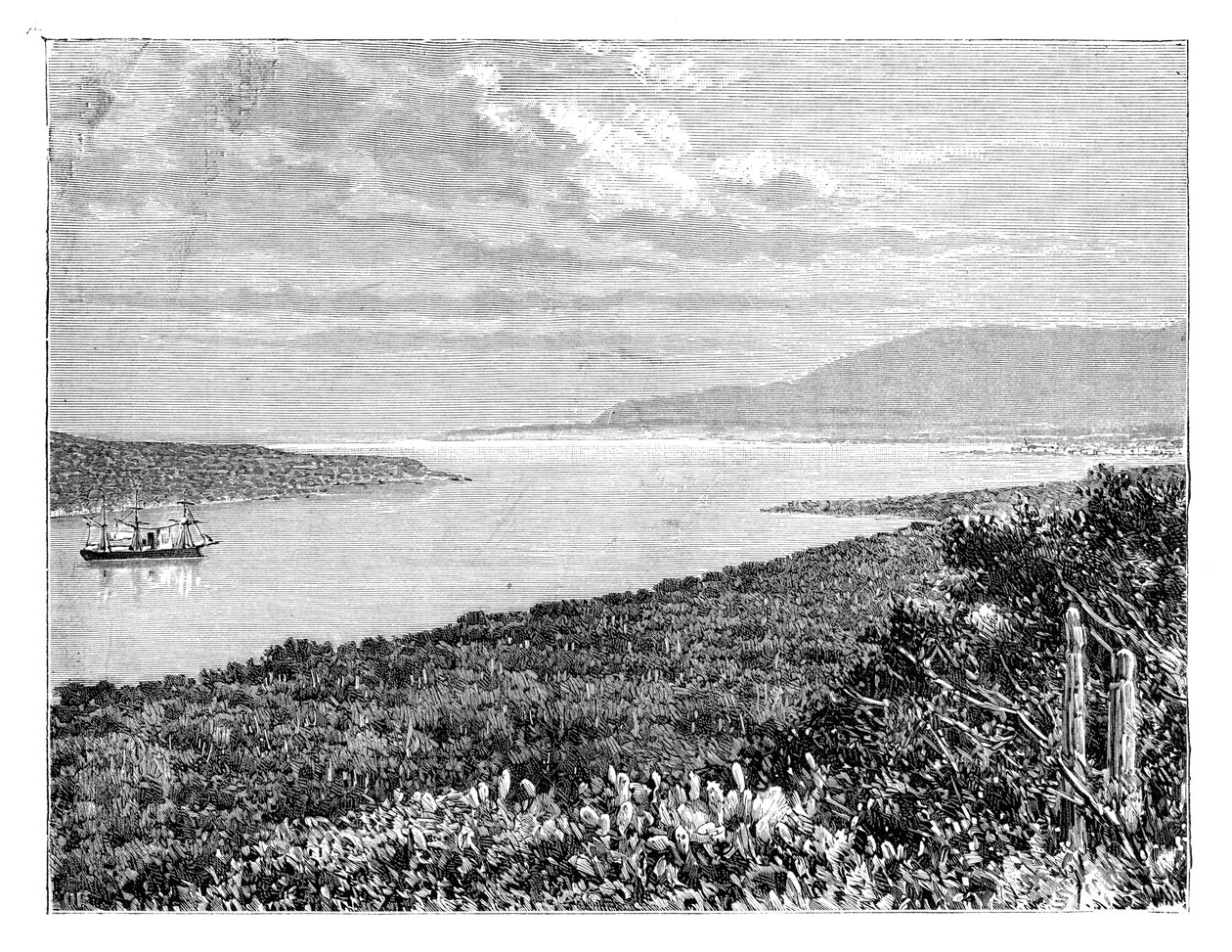 La penisola di Môle St Nicolas, Haiti, c. 1890 da Unbekannt