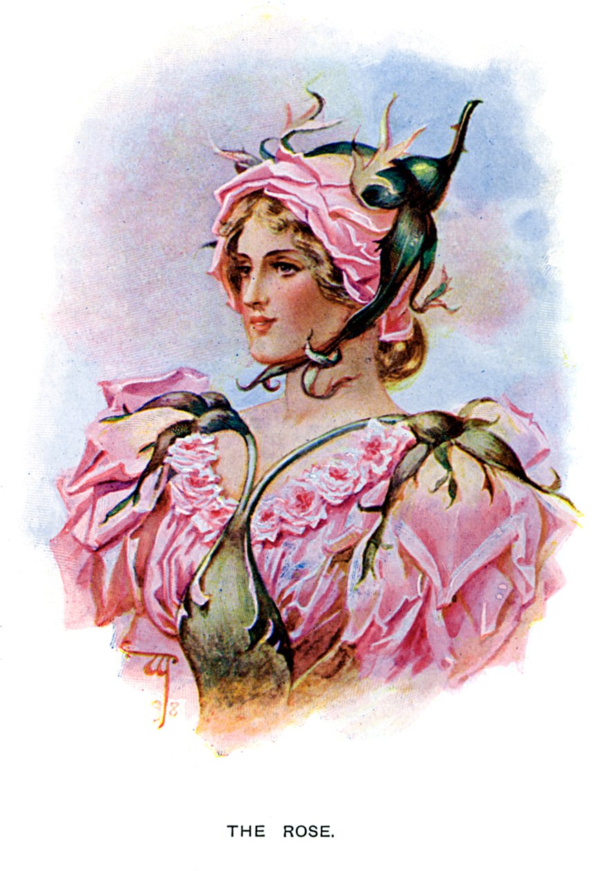 La rosa, 1899 da Unbekannt