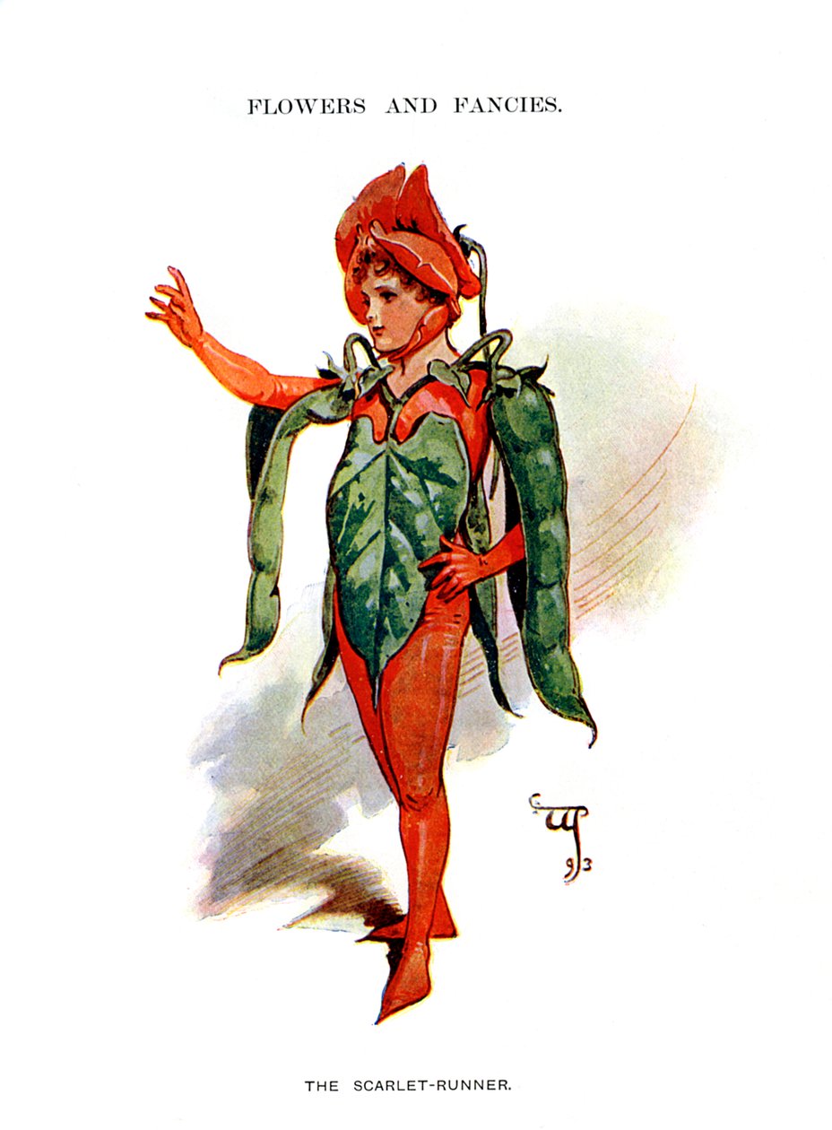 Il corridore scarlatto, 1899 da Unbekannt