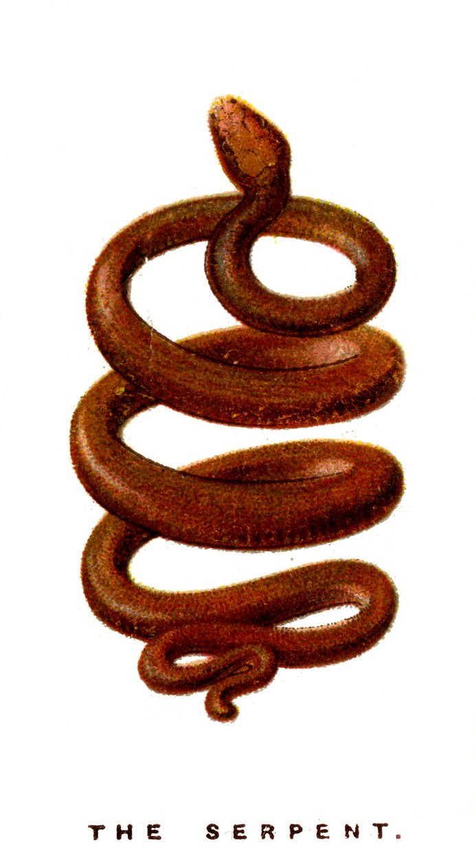 Il serpente, 1923 da Unbekannt