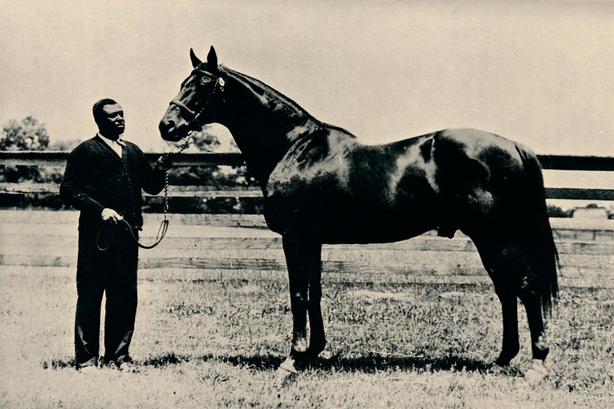 Cavallo da corsa purosangue, Man O War, c1920 da Unbekannt