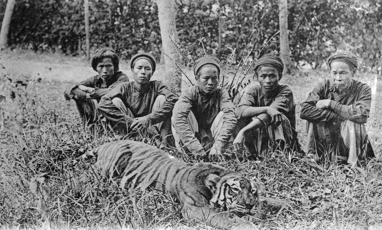 Cacciatori di tigri, Tonchino, Vietnam, XX secolo da Unbekannt