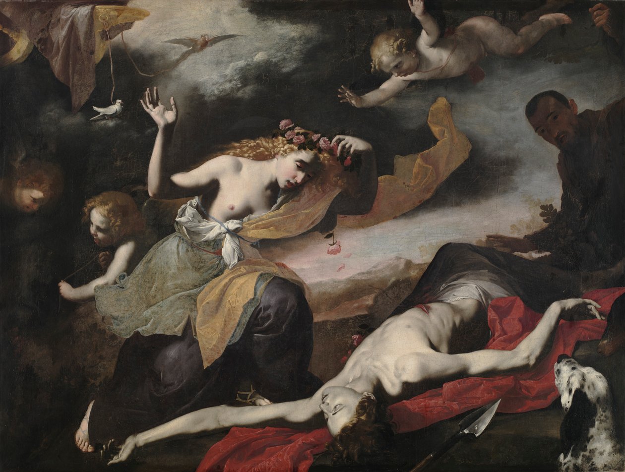 Venere scopre Adone morto da Unbekannt Unbekannt