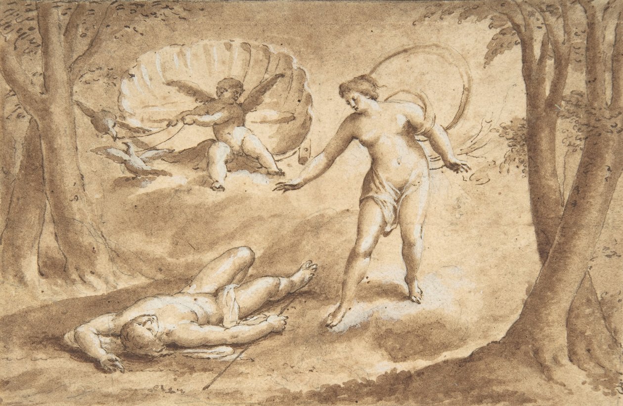 Venere scopre la morte di Adone, XVII secolo da Unbekannt