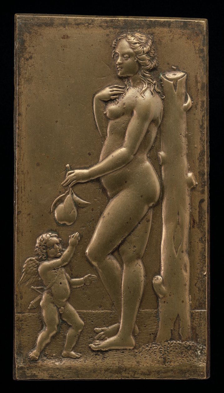 Venere e Cupido da Unbekannt