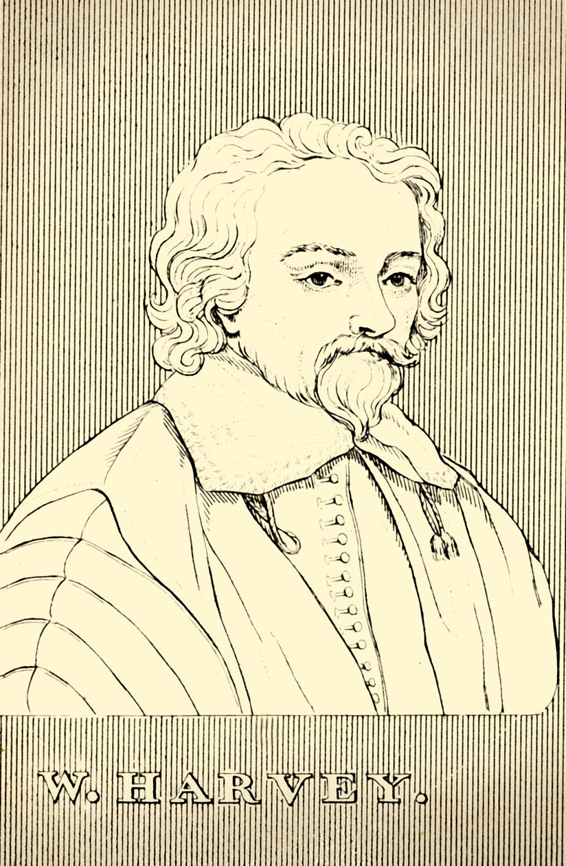 W. Harvey da Unbekannt