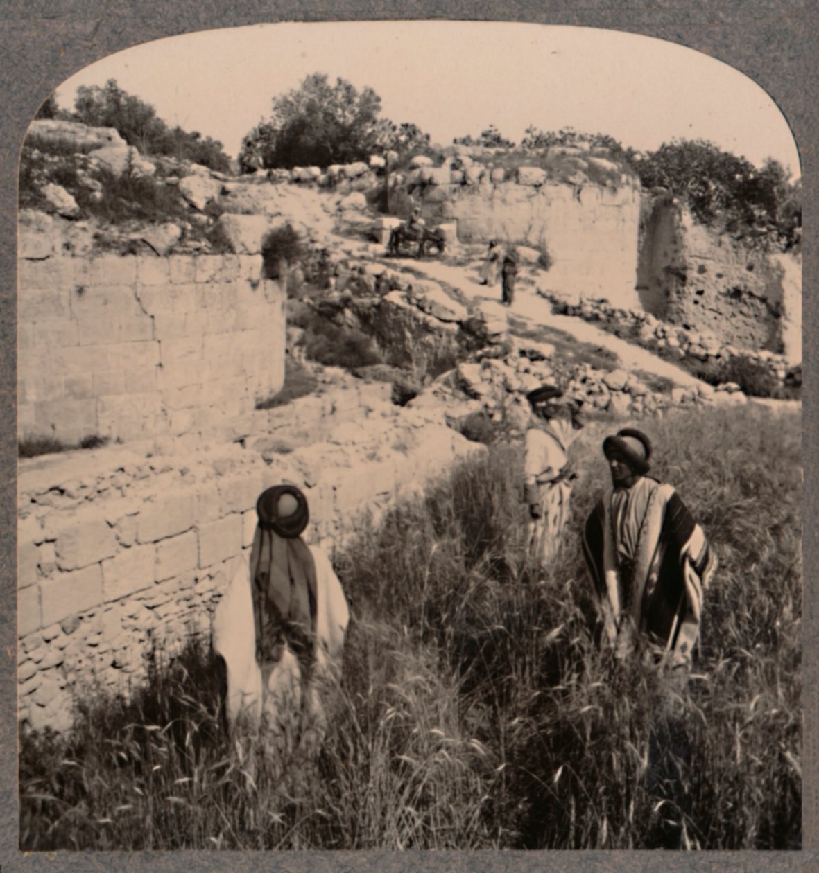 Mura di Augusto, Samaria da Unbekannt