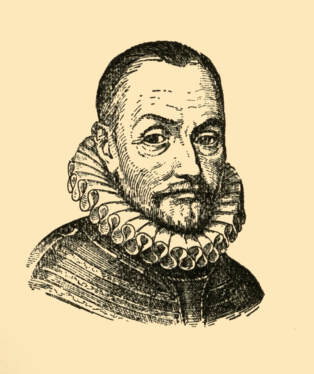 Wilhelm Von Nassau Principe di Orange da Unbekannt