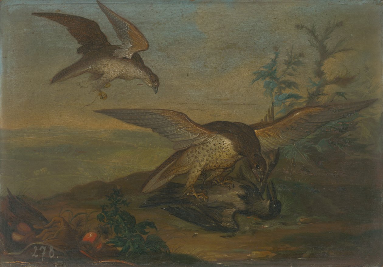 Lotta di uccelli da Unbekannt
