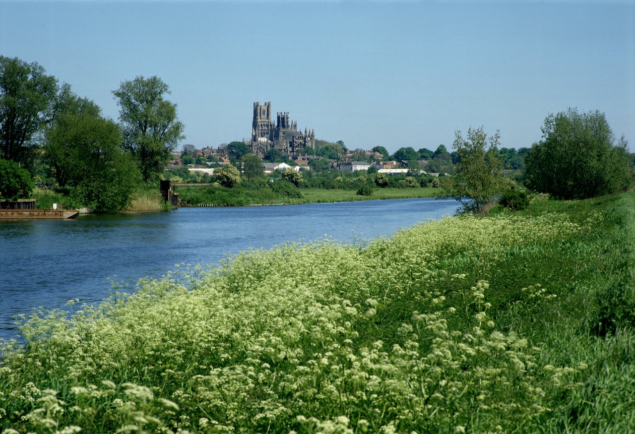 Cattedrale di Ely e il fiume Ouse da Unbekannt Unbekannt