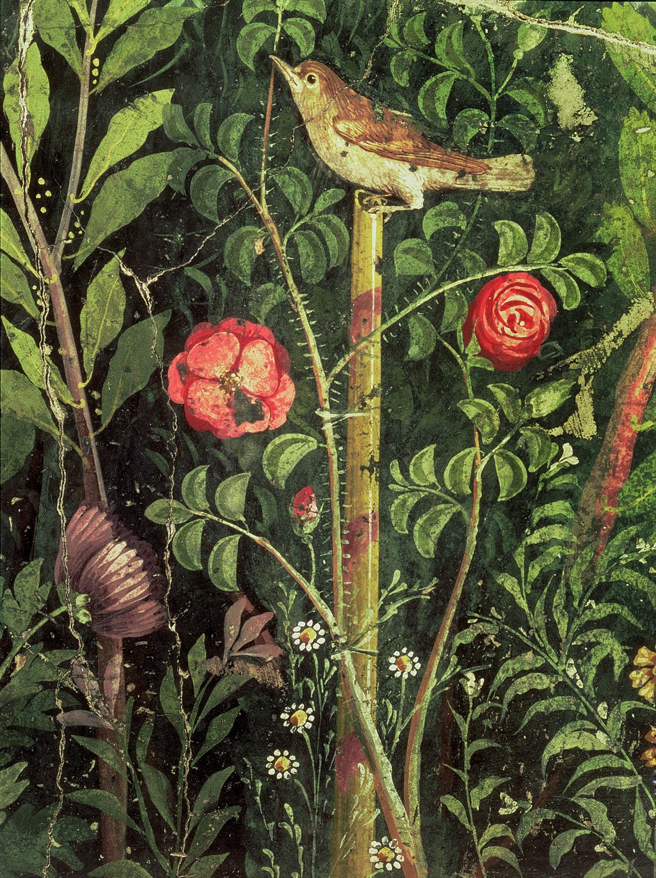 Affresco di un uccello in un giardino, Pompei, I secolo d.C. da Unbekannt Unbekannt