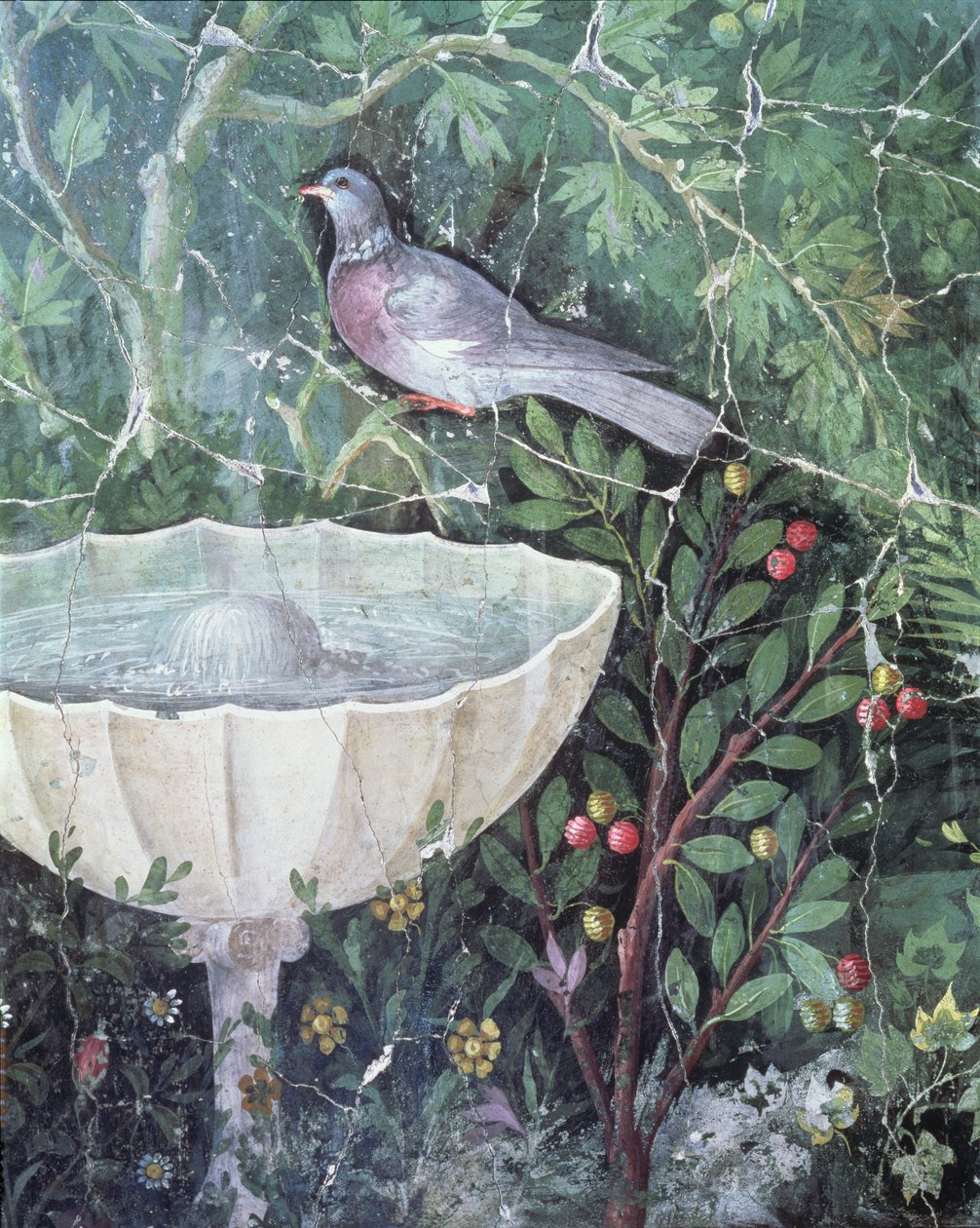 Affresco di una colomba in un giardino vicino a una fontana, Casa del Bracciale d