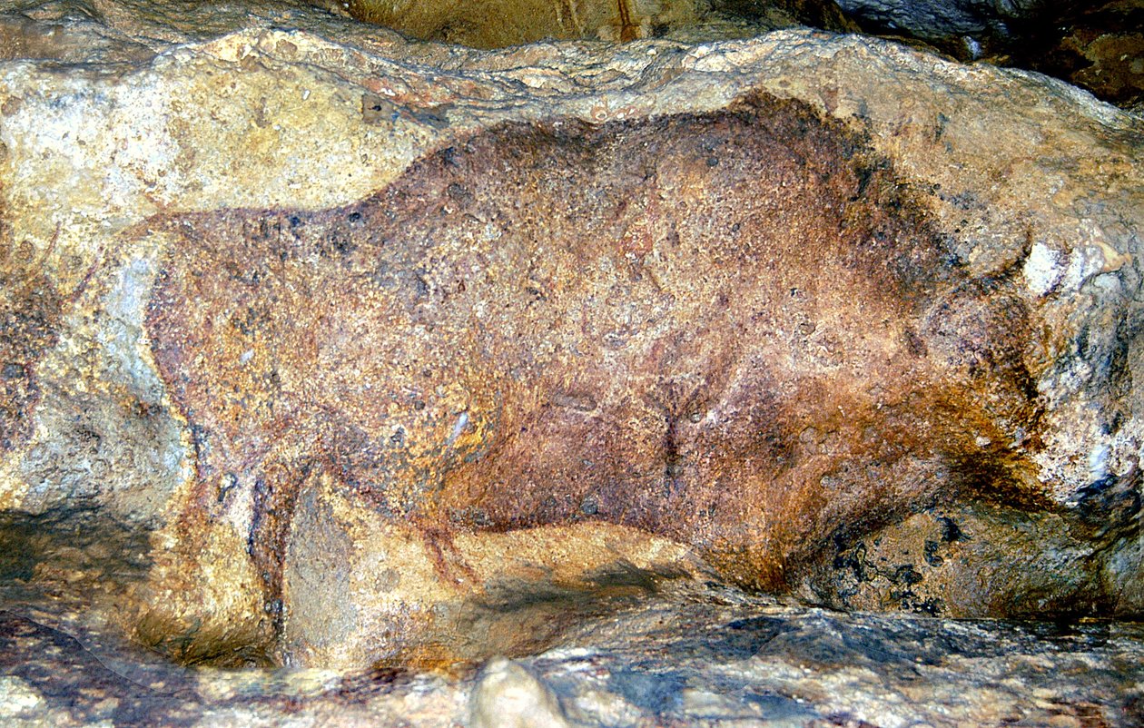 Bisonte a Font De Gaume, c.25.000 a.C. da Unbekannt Unbekannt