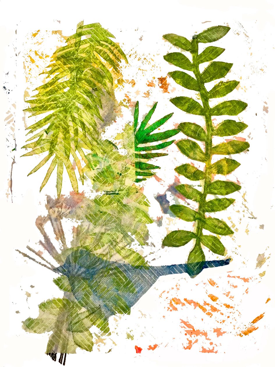 Giungla botanica da Unbekannt Unbekannt