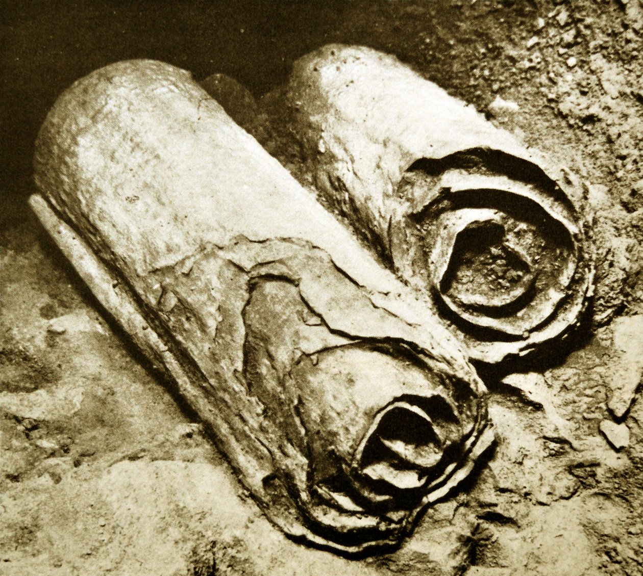 Scavo dei Rotoli del Mar Morto, 1950 da Unbekannt Unbekannt