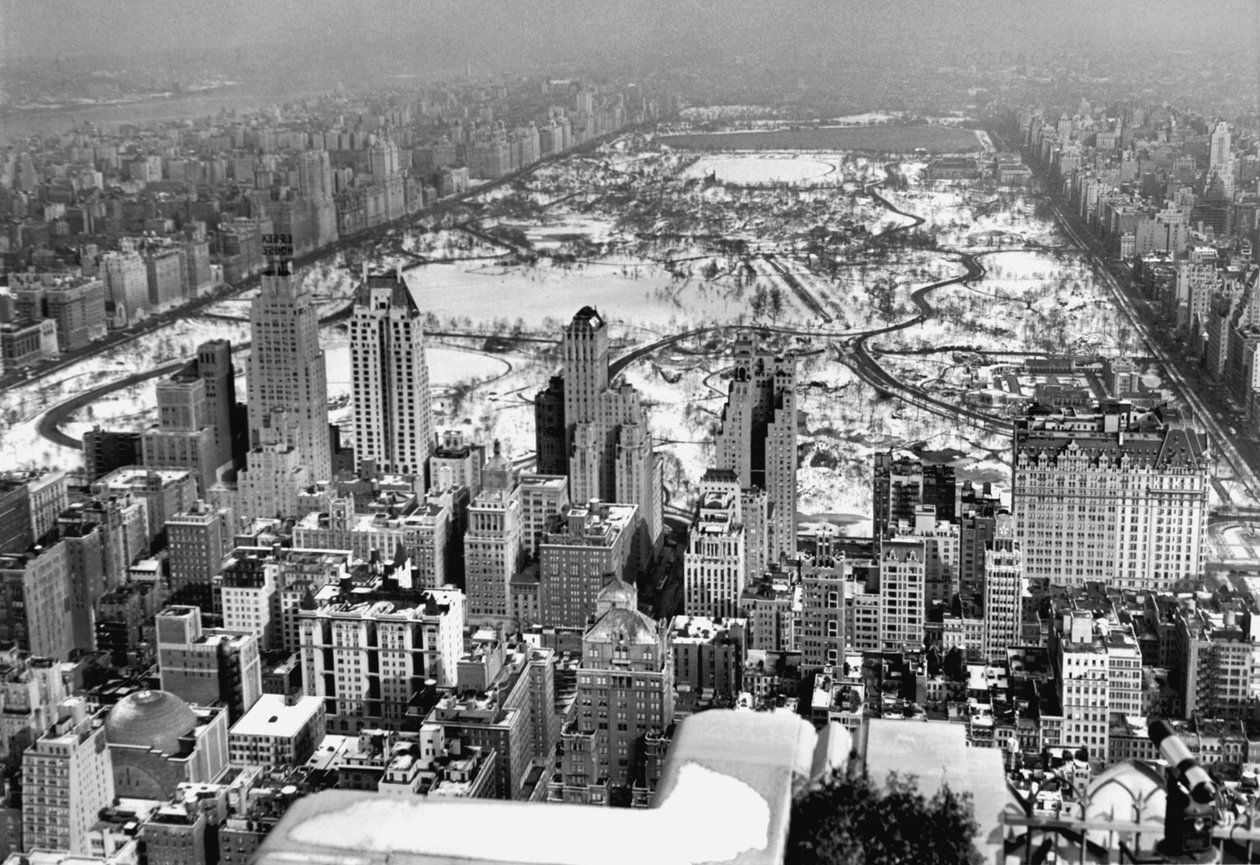 Vista di Midtown e Central Park da Unbekannt Unbekannt