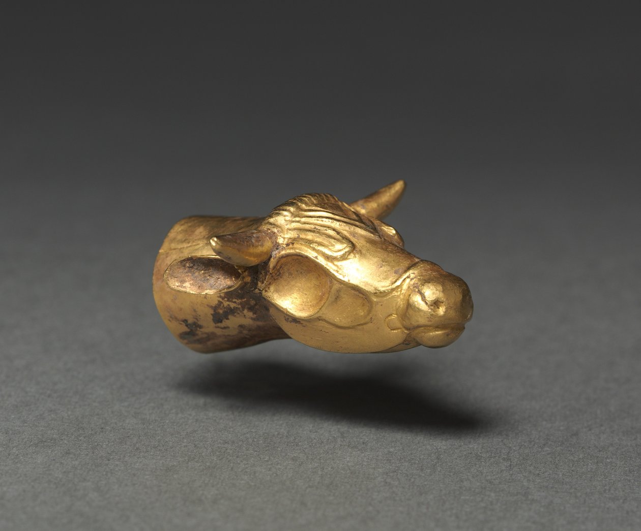 Finitura di Bovino, 400-300 a.C. da Unbekannt