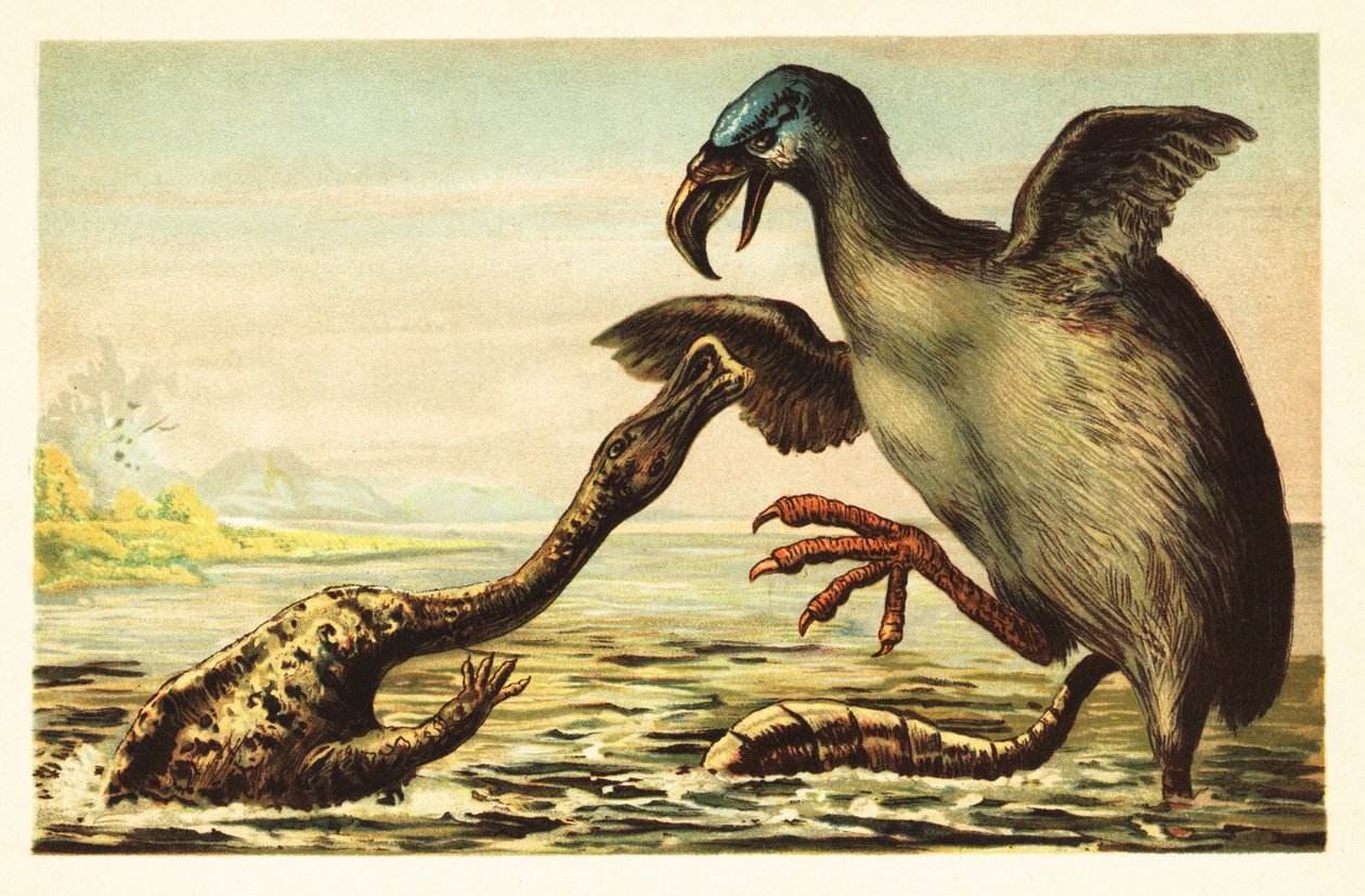 Brontornis che combatte un Hadrosaurus. 1908 da Unbekannter Künstler