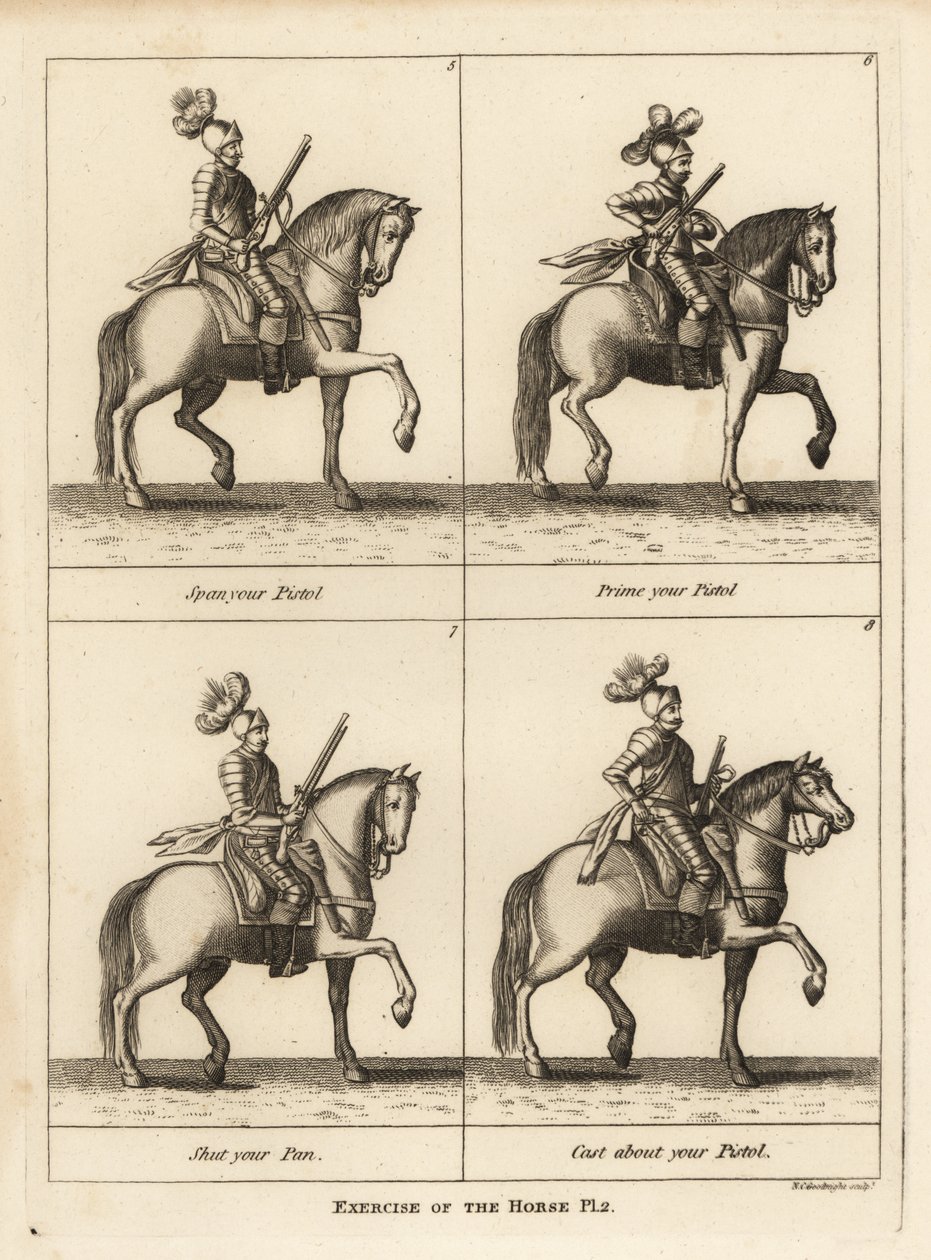 Esercizio del cavallo da Unbekannt