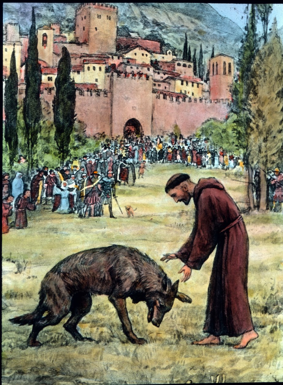 Francesco e il lupo da Unbekannter Künstler
