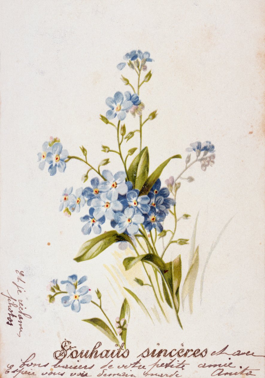 Cartolina di compleanno francese con elementi floreali da Unbekannter Künstler