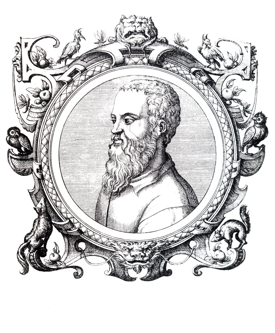 Guillaume Rondelet da Unbekannt