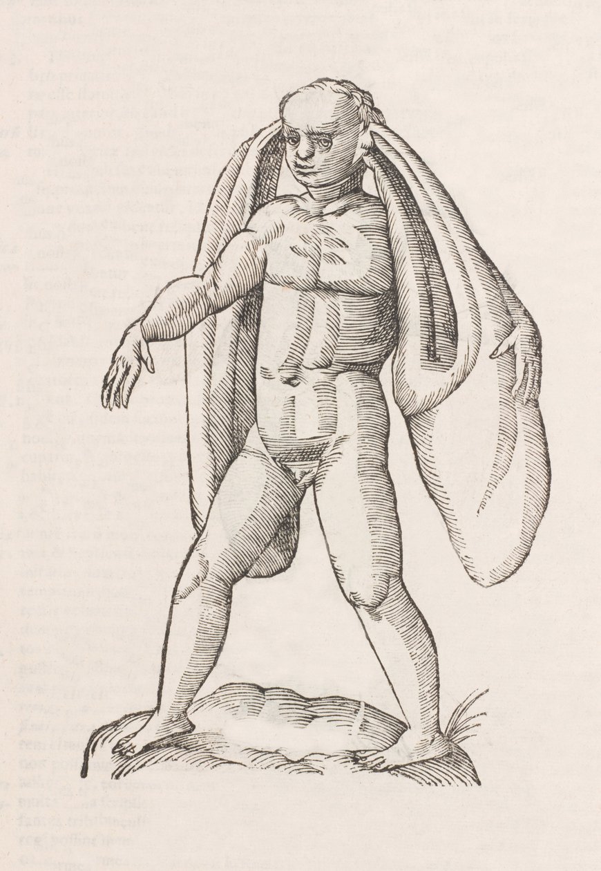 Homo fanesius auritus da Unbekannt