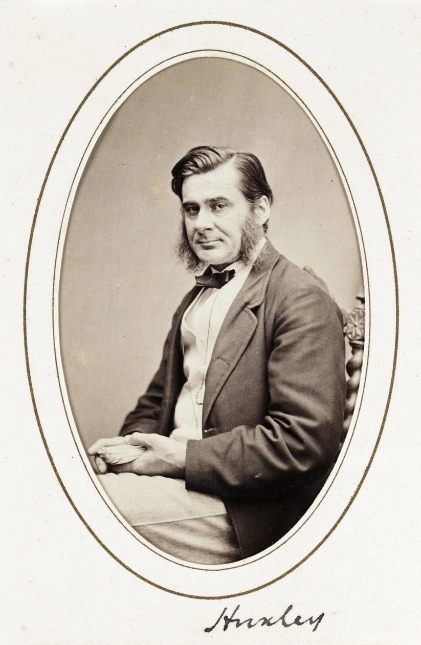 Huxley, c. 1865 da Unbekannt