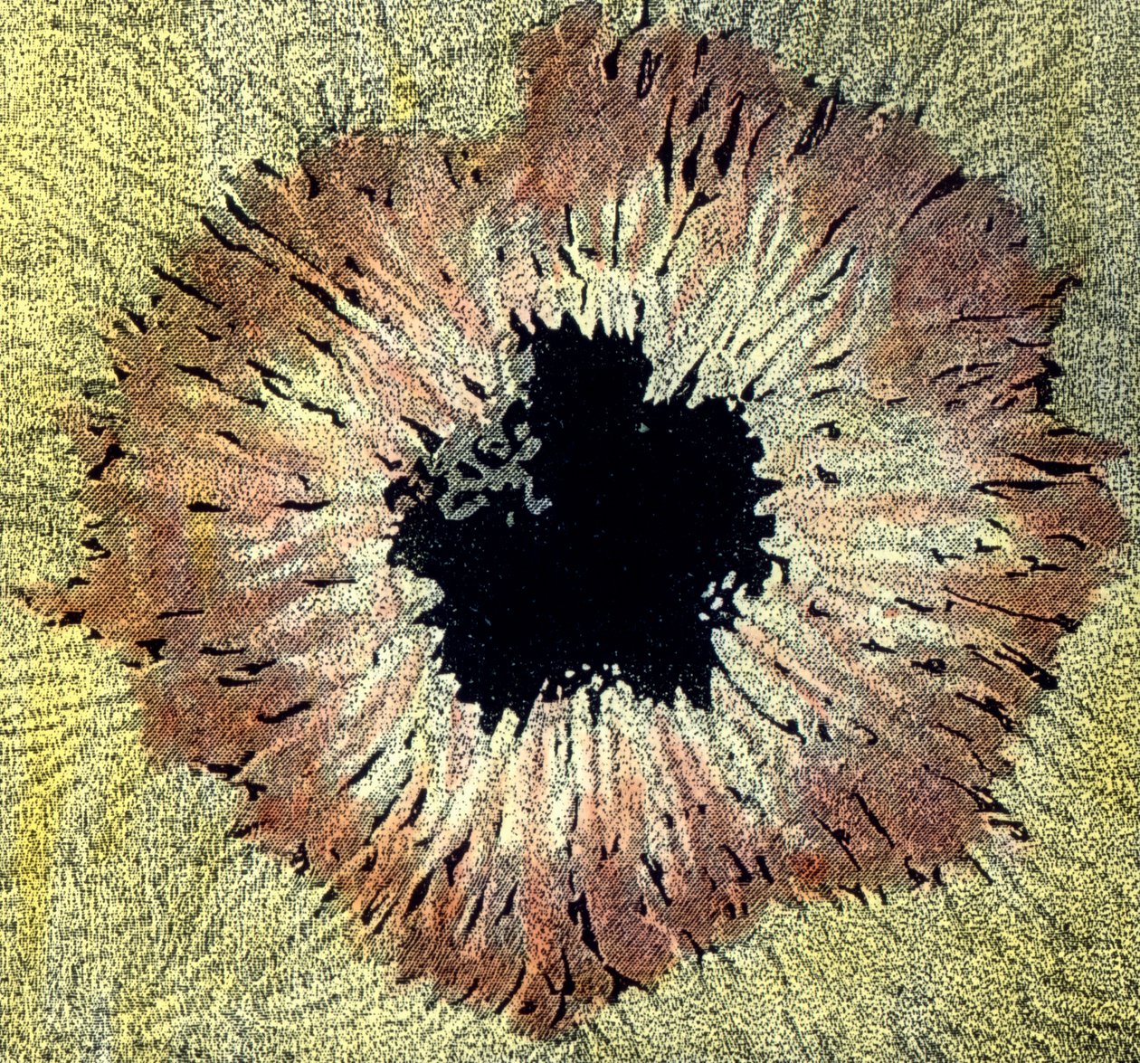 Illustrazione di una macchia solare da Unbekannter Künstler
