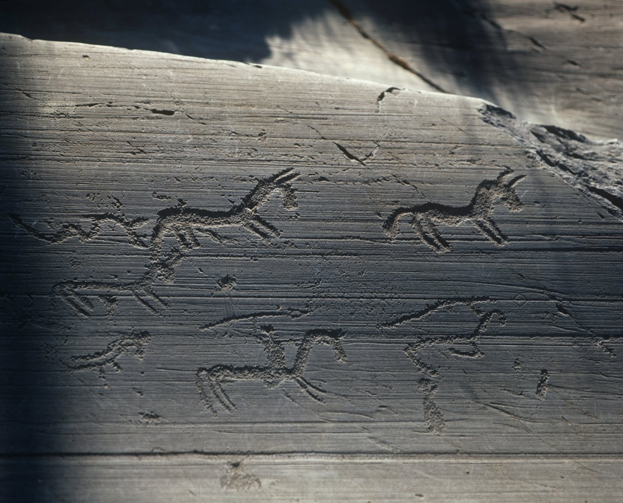 Italia, Lombardia, Valle Camonica, petroglifi su roccia da Benjamin Baud