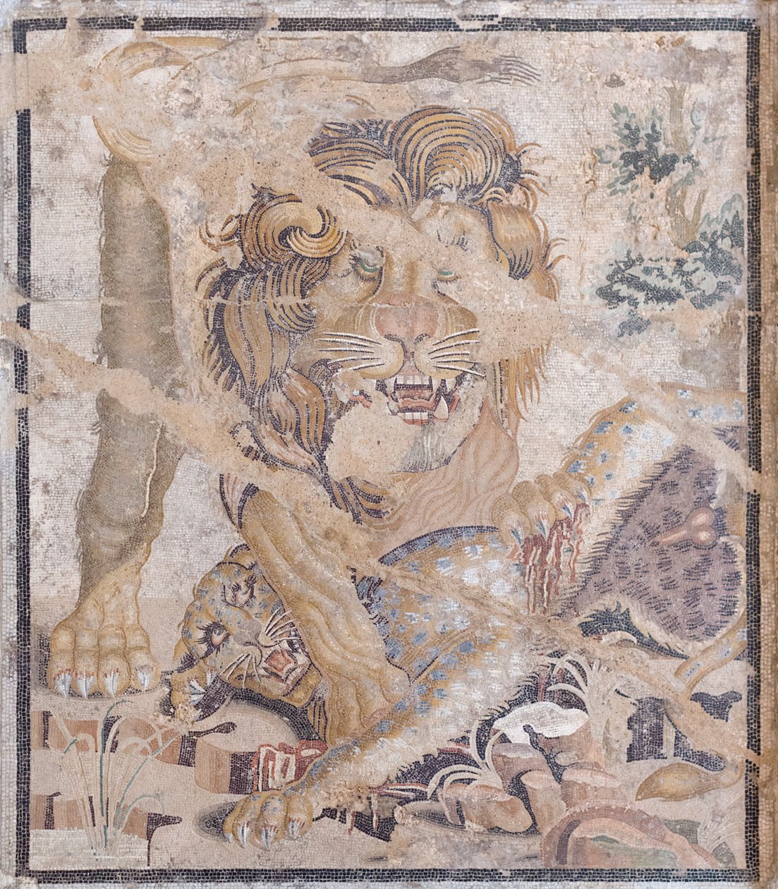 Leone e leopardo (mosaico) da Unbekannter Künstler