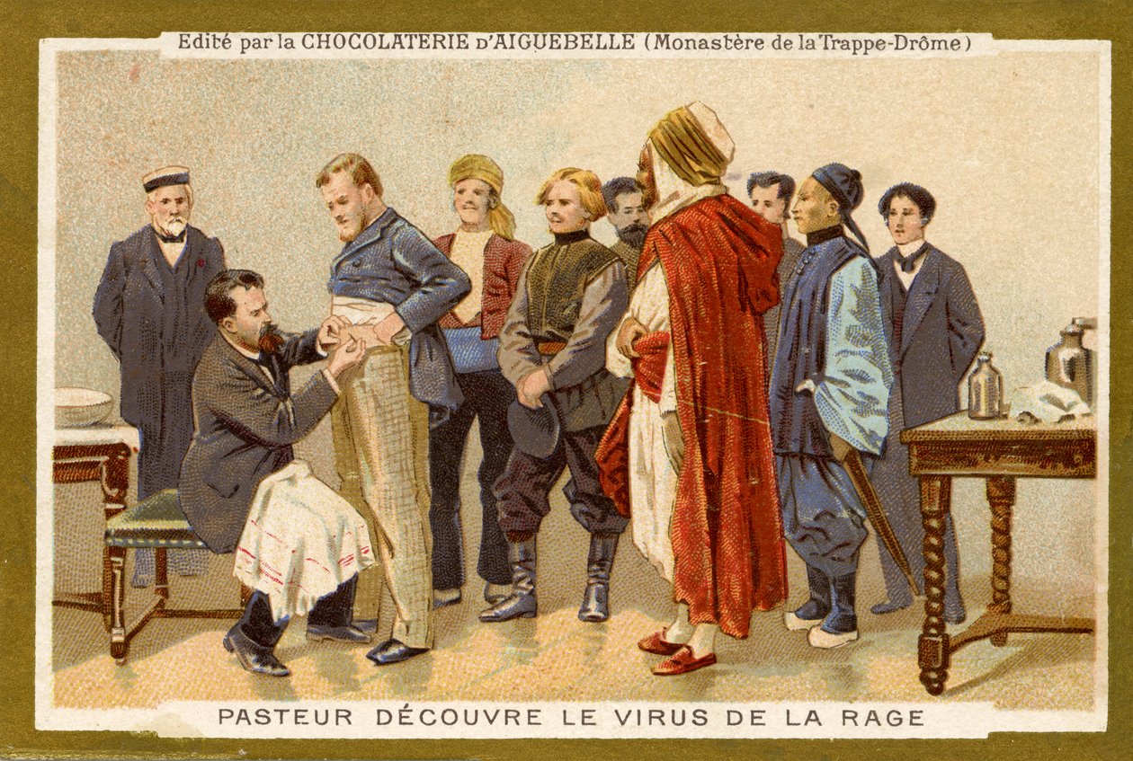 Louis Pasteur scopre il virus della rabbia da Unbekannter Künstler