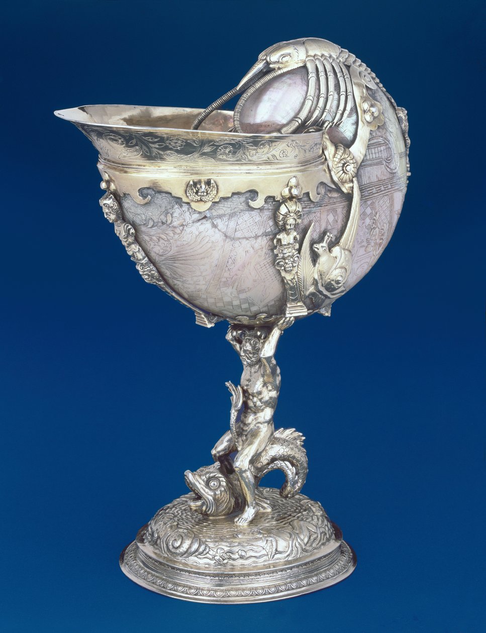 Coppa Nautilus da Unbekannt