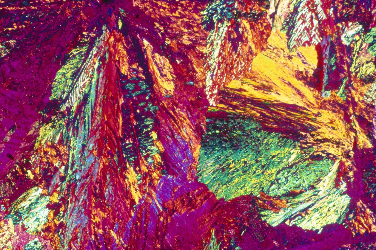 Micrografie (Luce) Bronzo di alluminio da Unbekannter Künstler