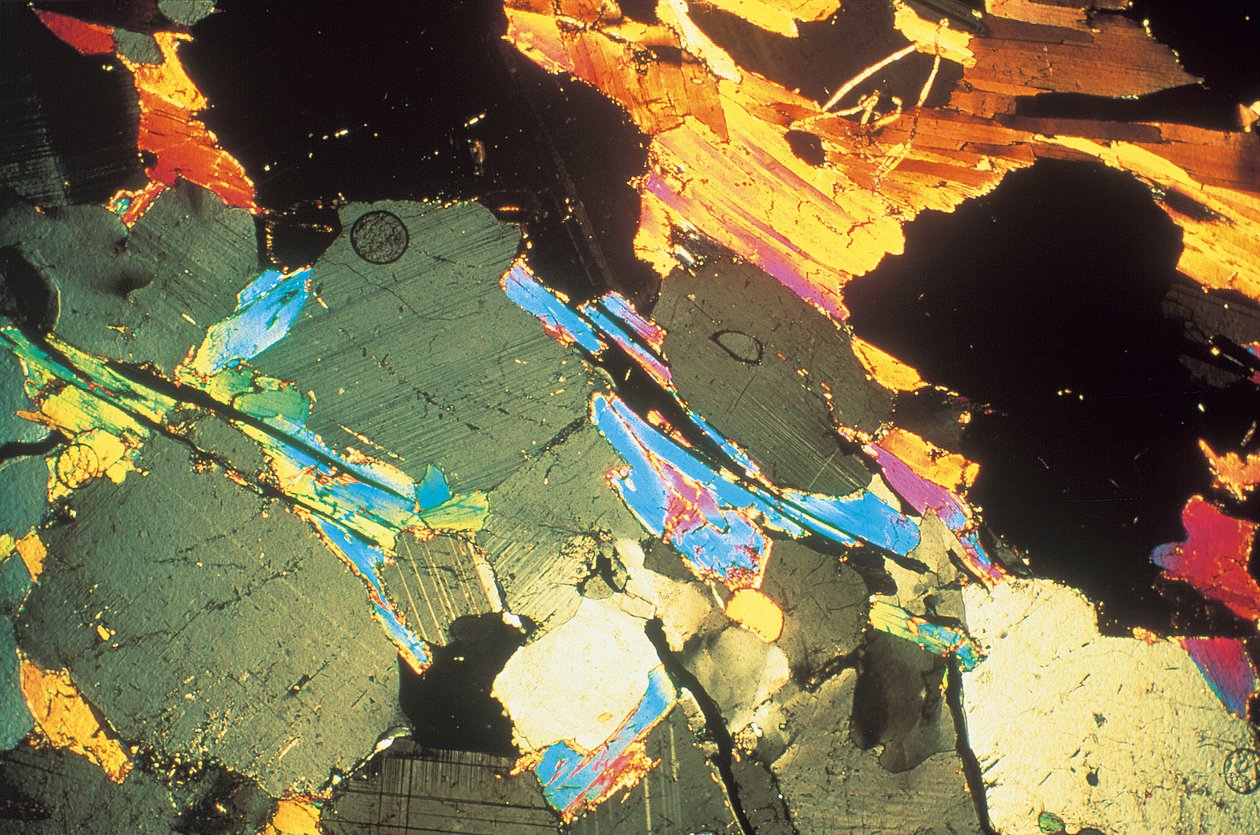 Micrografie (Luce) Arenaria, micrografia a luce da Unbekannt