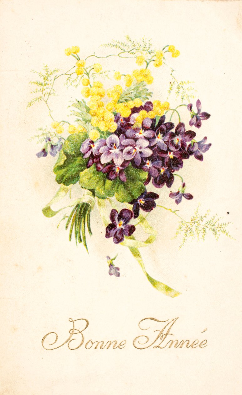 Vecchia cartolina/Violetta e Mimosa da Unbekannt