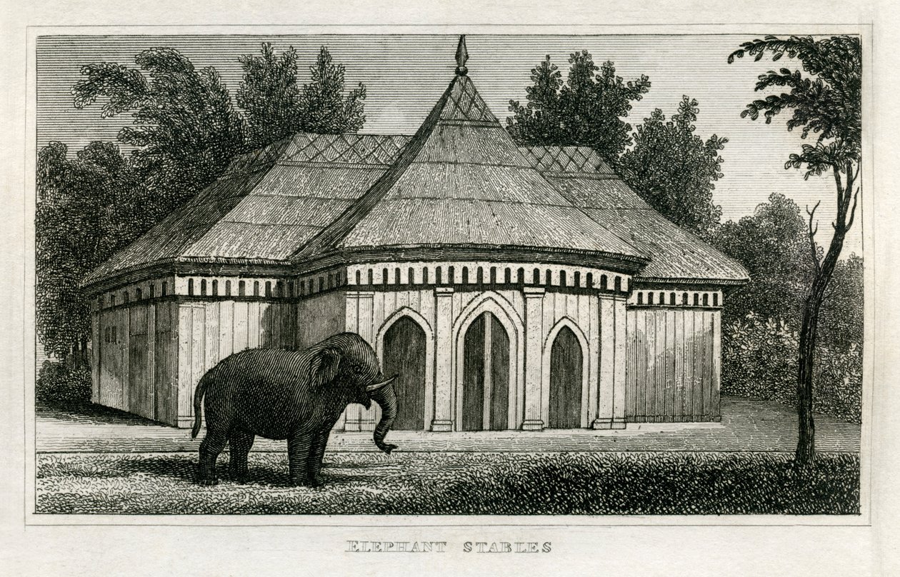 Zoo di Regent