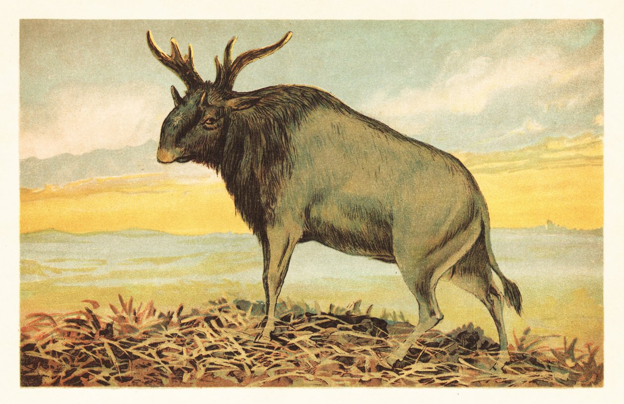 La bestia di Shiva, Sivatherium giganteum. 1908 da Unbekannter Künstler