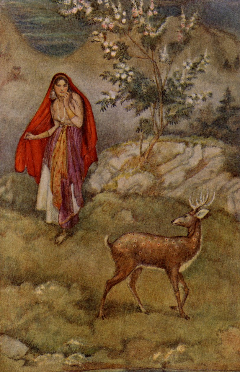 Sita trova il cervo magico da Unbekannter Künstler