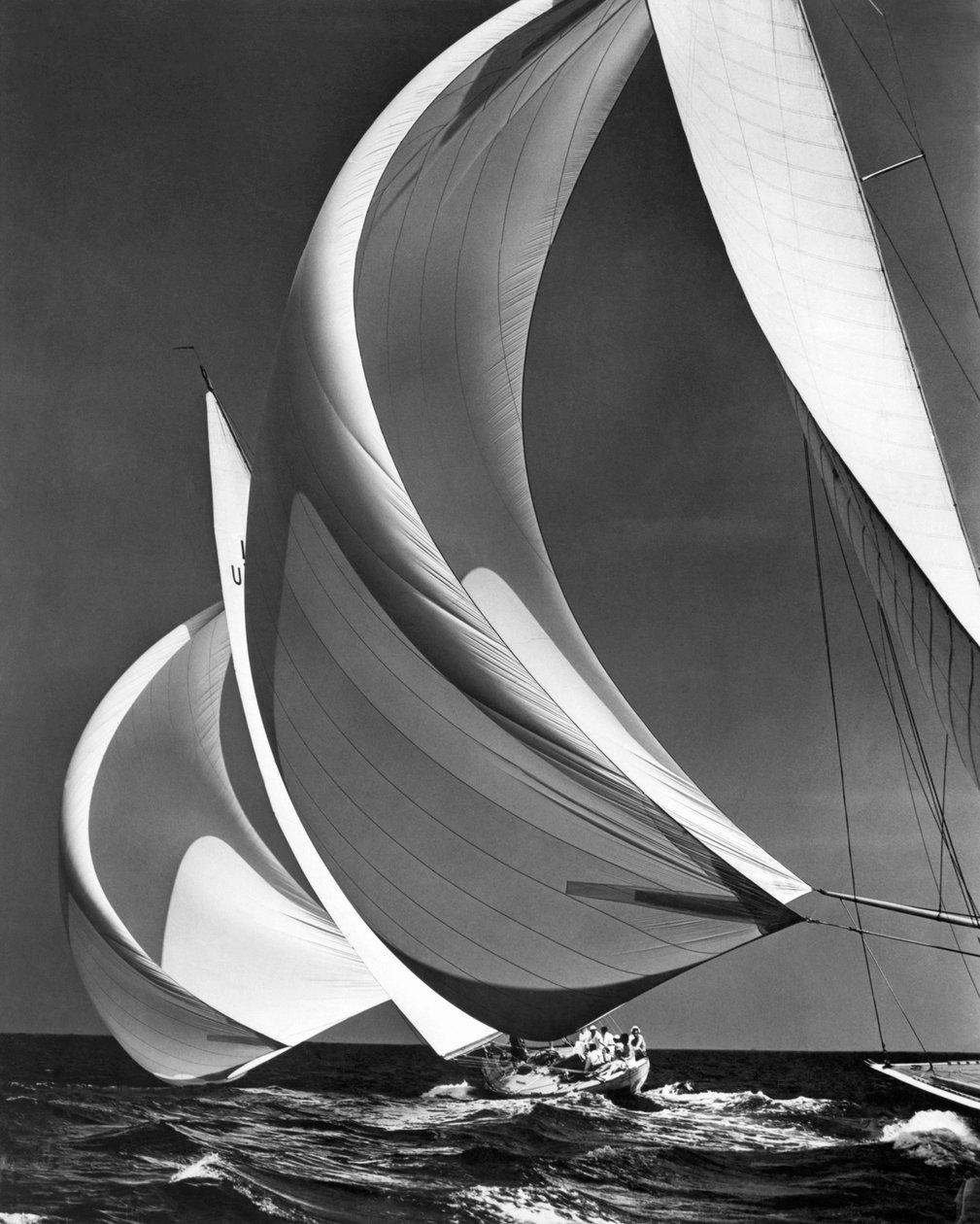 Spinakers su barche a vela da corsa da Unbekannter Künstler
