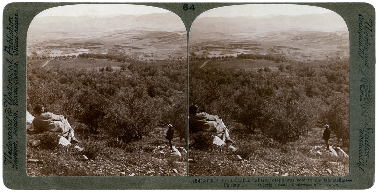 La pianura di Dothan, Palestina, 1900 da Underwood and Underwood